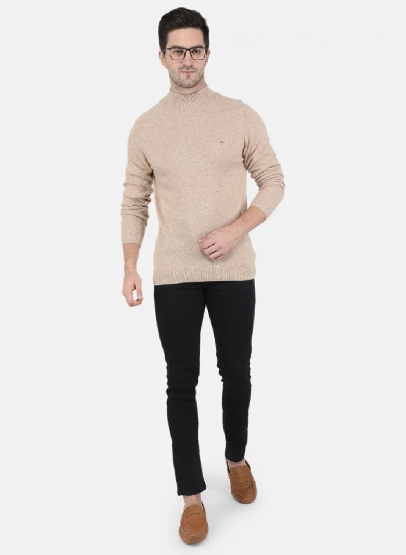 Men Beige Solid Pullover