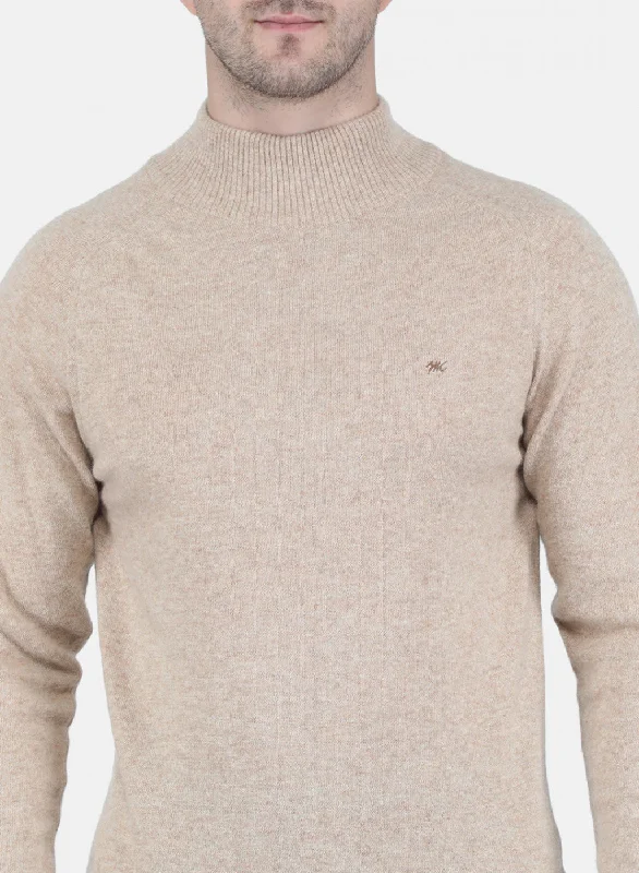 Men Beige Solid Pullover