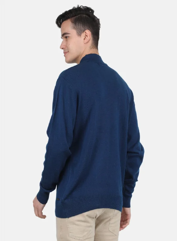 Men Blue Solid Pullover