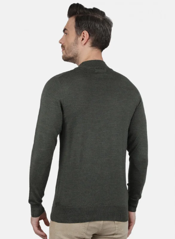 Men Olive Solid Pullover