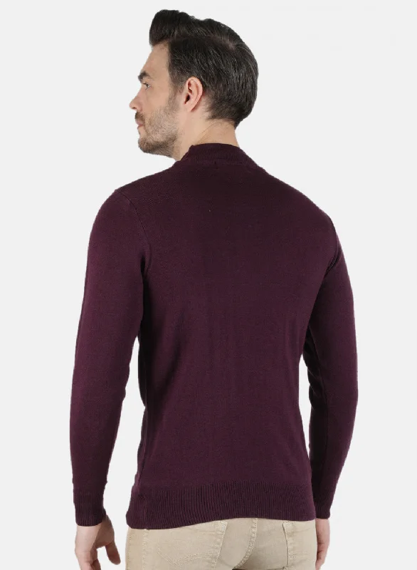 Men Purple Solid Pullover