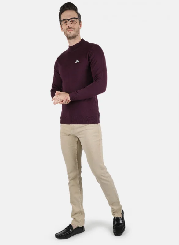 Men Purple Solid Pullover