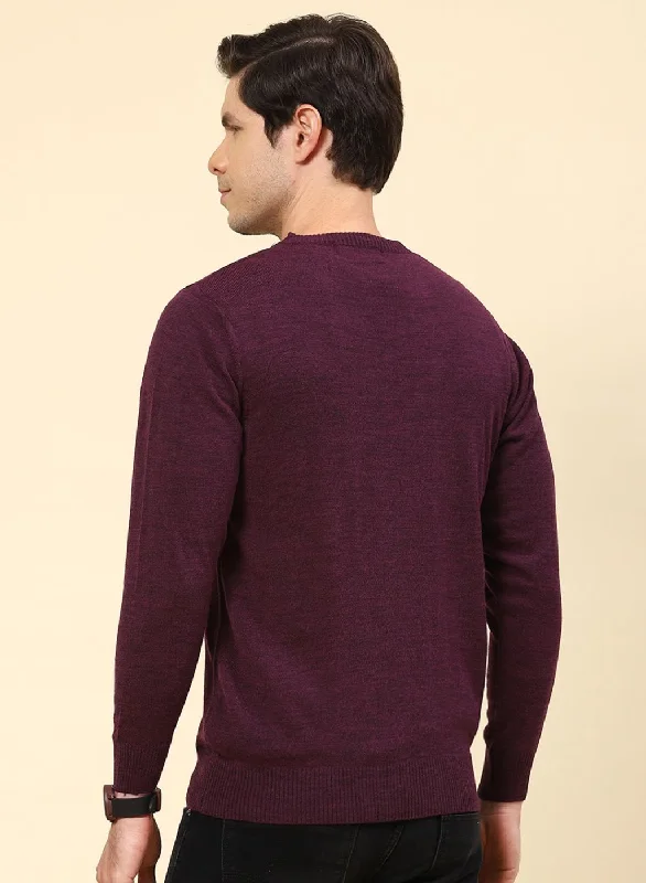 Men Purple Solid Wool blend Pullover