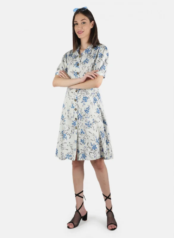 Women Blue Printed Dress